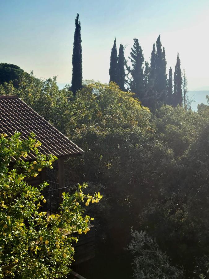Roof Of The Galilee Vila Amirim Exterior foto